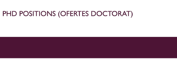 PhD positions (Ofertes Doctorat), (obriu en una finestra nova)